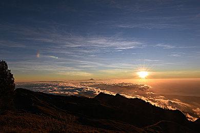 总监确认《TopSpin 2K25》发售时不支持在线双打